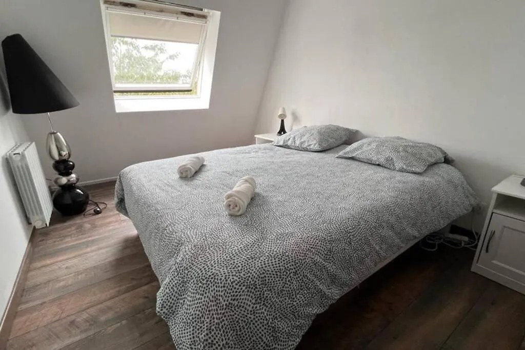 Magnifique Duplex Choisy Le Roi Avec Parking Apartment
